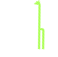 Giraphic Prints